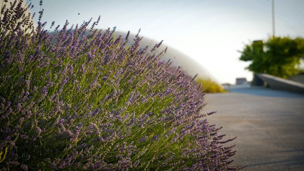 Top laser engravers to ignite your creativity today